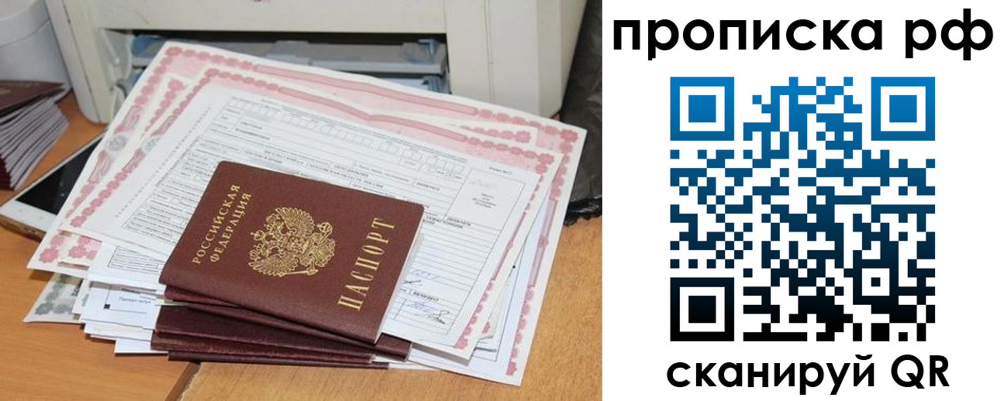 прописка гарантия в Купино